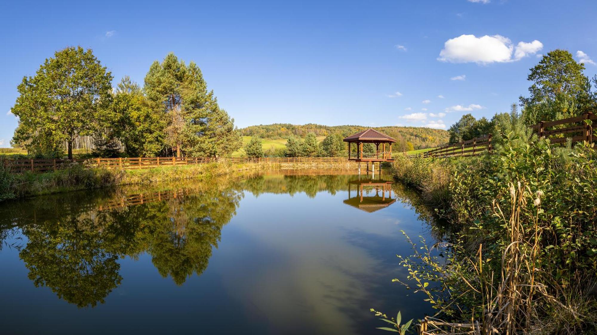 Готель Glamping Pod Gwiazdami Pietrusza Wola Екстер'єр фото